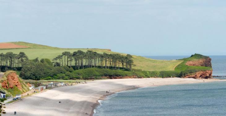 The Lawns B & B Budleigh Salterton Dış mekan fotoğraf