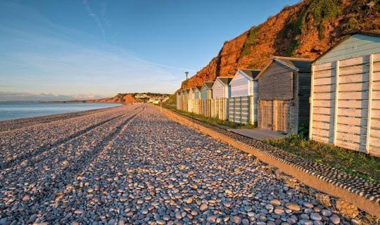 The Lawns B & B Budleigh Salterton Dış mekan fotoğraf